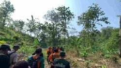 Hari Kedua Pencarian, Pemuda Hilang di Hutan Bantarsari Cilacap Belum Ditemukan