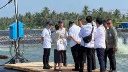 Presiden Prabowo ke Kebumen Hadiri Panen Raya Udang Vaname