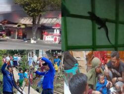 Selama Bulan Mei 2026, Damkar Cilacap Tangani 36 Kebakaran 471 Non Kebakaran