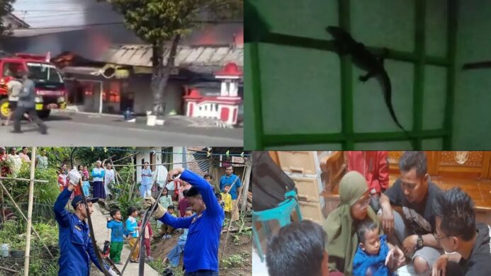 Selama Bulan Mei 2026, Damkar Cilacap Tangani 36 Kebakaran 471 Non Kebakaran