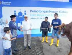 BRI Group Distribusikan Lebih dari 5000 Hewan Kurban di Indonesia