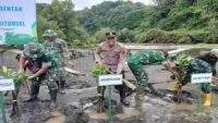 Kapolsek Adipala dan Forkopimda Tanam Mangrove di Gunung Selok