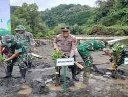 Kapolsek Adipala dan Forkopimda Tanam Mangrove di Gunung Selok