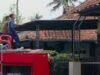 Damkar Majenang evakuasi 3 anakan kucing semi persia medium dari atap rumah