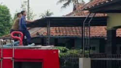 Naik Tak Bisa Turun, Damkar Majenang Evakuasi Anakan Kucing