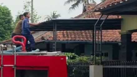 Naik Tak Bisa Turun, Damkar Majenang Evakuasi Anakan Kucing