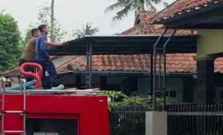 Naik Tak Bisa Turun, Damkar Majenang Evakuasi Anakan Kucing