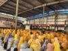 Ribuan Ibu-ibu Aisyiyah Se-Cabang Ajibarang ikuti Tabligh Akbar Milad 109 Aisyiyah