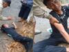 Orang Hilang di Hutan Cimanggu Cilacap Ditemukan dalam Keadaan Hidup