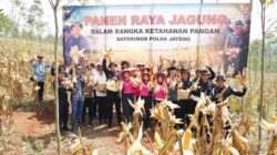 Dukung Ketahanan Pangan, Brimob Jateng Panen Jagung 8 Ton di Kendal