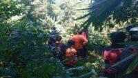 Kakek yang Hilang di Hutan Wanatirta Brebes Masih Belum Ditemukan