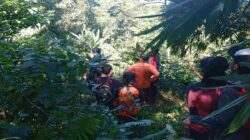 Kakek yang Hilang di Hutan Wanatirta Brebes Masih Belum Ditemukan