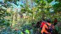 Hari ke-3 Pencarian Kakek Hilang di Hutan Wanatirta Brebes Masih Nihil