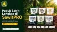SawitPRO Hadirkan Pilihan Pupuk Sawit Lengkap untuk Kebutuhan Petani dan Perkebunan