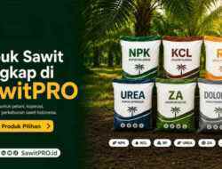 SawitPRO Hadirkan Pilihan Pupuk Sawit Lengkap untuk Kebutuhan Petani dan Perkebunan