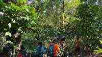 Hari ke-4 Pencarian Kakek Naruh di Hutan Wanatirta Brebes Masih Nihil
