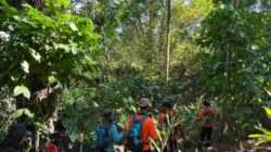 Hari ke-4 Pencarian Kakek Naruh di Hutan Wanatirta Brebes Masih Nihil