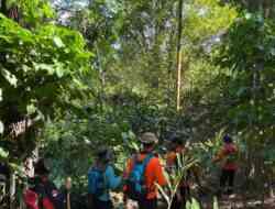 Hari ke-4 Pencarian Kakek Naruh di Hutan Wanatirta Brebes Masih Nihil
