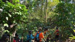 Hari ke-4 Pencarian Kakek Naruh di Hutan Wanatirta Brebes Masih Nihil