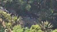 H2 Pencarian Lansia Hilang di Hutan Karangmoncol Purbalingga Nihil