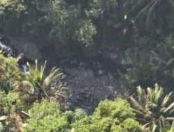 H2 Pencarian Lansia Hilang di Hutan Karangmoncol Purbalingga Nihil