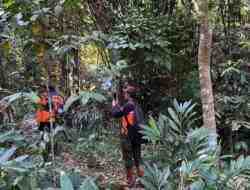 Basarnas Perluas Pencarian H6 Kakek Hilang di Hutan Wanatirta Brebes