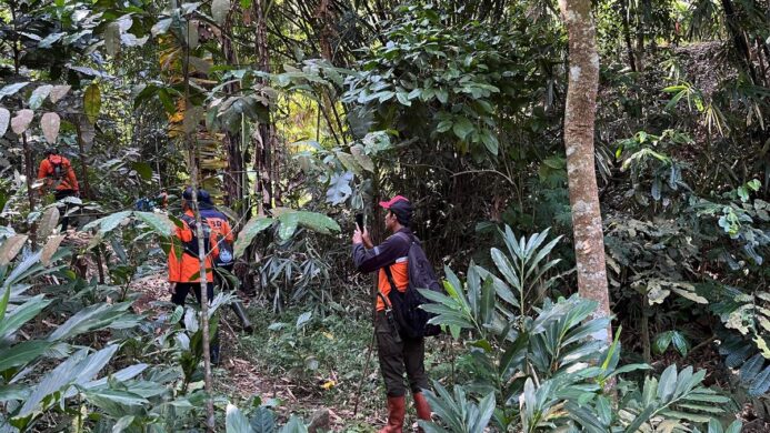 hari keenam pencarian terhadap kakek yang hilang di hutan Wanatirta, Paguyangan, Brebes masih belum membuahkan hasil