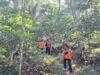 H3 Pencarian Kakek Museni di Hutan Purbalingga Belum Ditemukan