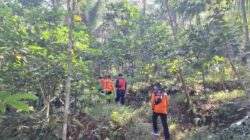 H3 Pencarian Kakek Museni di Hutan Purbalingga Belum Ditemukan