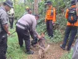 H6 Pencarian Kakek Museni di Purbalingga, Anjing Pelacak Dikerahkan