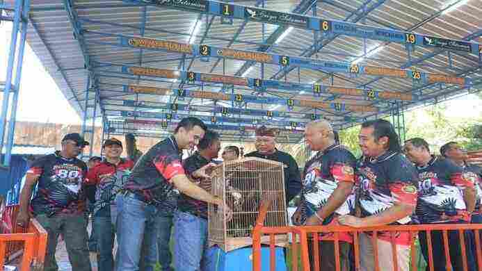 Ribuan Kicau Mania Ikuti Kapolresta Cilacap Cup Burung Berkicau