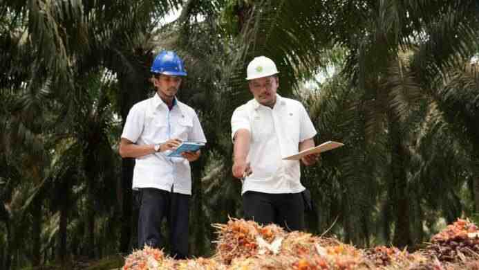 Holding Perkebunan Nusantara Perkuat Daya Saing SDM