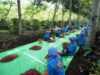 Produksi Kopi PTPN IV PalmCo Melonjak 225 Persen