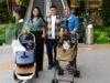 Main Bareng Anabul Di Grand Galaxy Park yang Cat Friendly