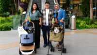 Main Bareng Anabul Di Grand Galaxy Park yang Cat Friendly