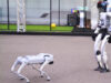 Bukan Sekadar Drone Kini Robot Quadruped dan Humanoid Ikut Bekerja di Lapangan