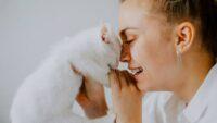 Kenali 8 Penyebab dan Cara Mengatasi Kucing Menangis