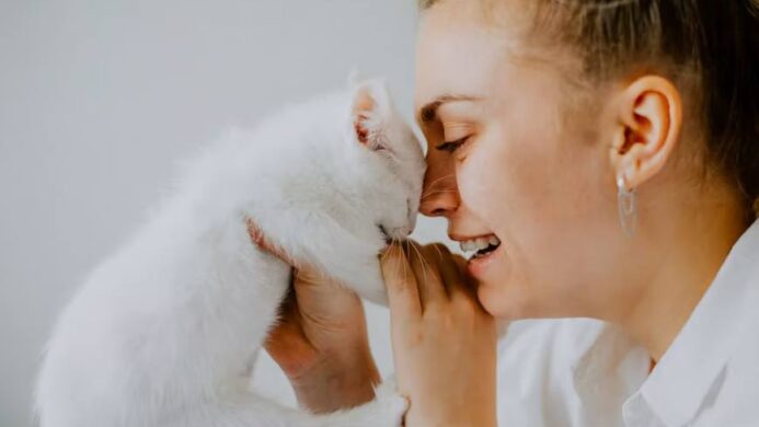 Penyebab dan Cara Mengatasi Kucing Menangis