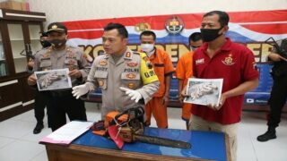 Kayu Perhutani Dicuri, Akibatnya 3 Tersangka ini Ditangkap Polres Kebumen