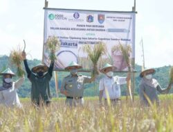 Jakarta Governor Anies Baswedan Harvest Rice in Cilacap