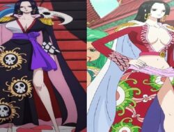 Teori One Piece: Boa Hancock Lebih Cocok Menikah dengan Luffy Dibanding Nami