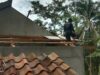 Rumah Warga Tertimpa Pohon Akibat Angin Puting Beliung di Wanareja
