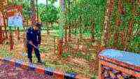 JAGA DAN TINGKATKAN KEBERSIHAN, LAPAS PASIR PUTIH LAKUKAN GIAT RUTIN BERSIH LAPAS DAN AREA LINGKUNGAN LAPAS