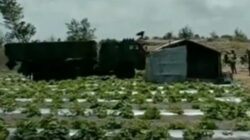 Gallery Foto Kendaraan Pengangkut Roket Lindas Tanaman Melon di Buluspesantren Kebumen