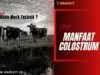 Nadivit: Apa Itu Kolostrum dan Merek Mana yang Terbaik