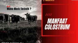 Nadivit: Apa Itu Kolostrum dan Merek Mana yang Terbaik