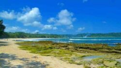 Bersih dan Jernih Ini Dia Wisata Eksotis Pantai Ranca Babakan Kampung Laut Cilacap