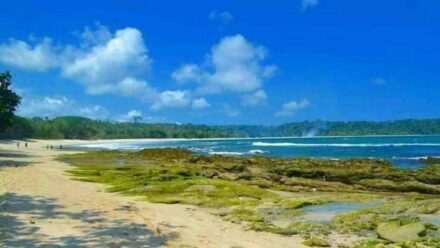 Bersih dan Jernih Ini Dia Wisata Eksotis Pantai Ranca Babakan Kampung Laut Cilacap