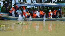 Kampung Sidat Kaliwungu Cilacap Jadi Kawasan Percontohan dan Berkomitmen Jaga Kualitas Selera Dunia