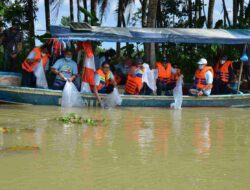 Kampung Sidat Kaliwungu Cilacap Jadi Kawasan Percontohan dan Berkomitmen Jaga Kualitas Selera Dunia